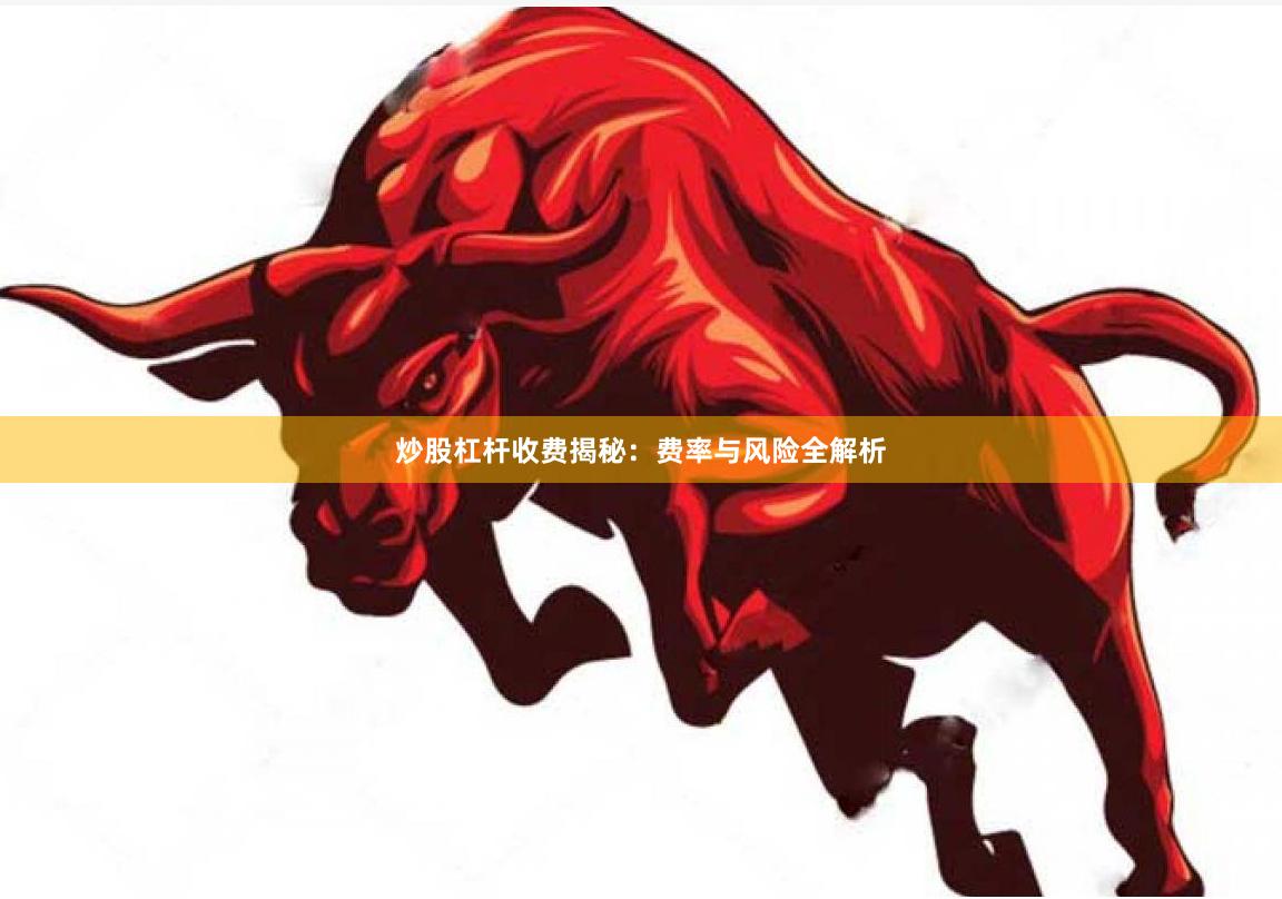 炒股杠杆收费揭秘：费率与风险全解析