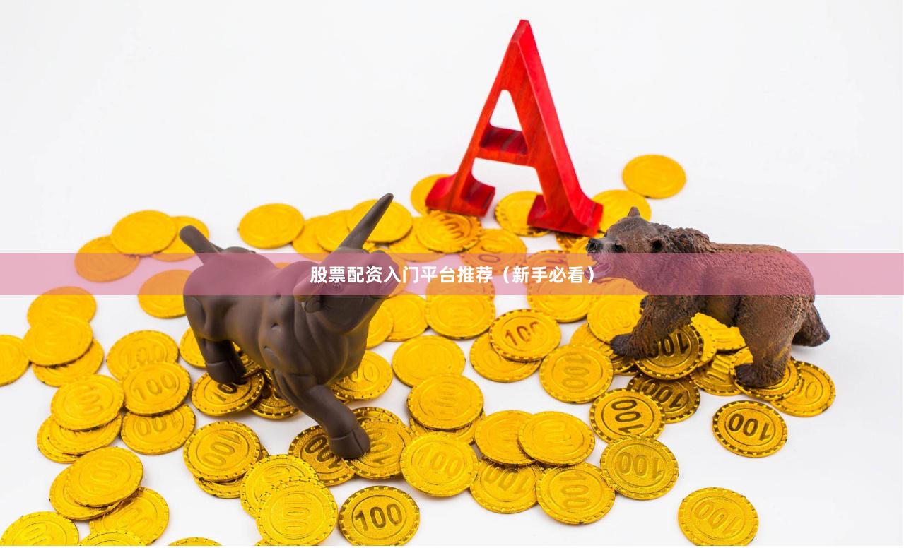股票配资入门平台推荐（新手必看）