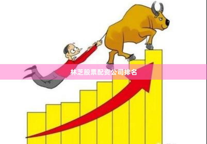 林芝股票配资公司排名